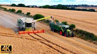 2024 MEGA XXL CLAAS Lexion 8800 Harvesting Wheat Along With Claas Tractor YORKSHIRE