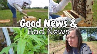 How Do I Fix This?! | Good and Bad News | Vlog