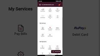 India post payment bank virtual Atm card view/Ippb ke virtual Atm card kaise  dakhe