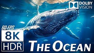 THE OCEAN (8K HDR) - Scenic Relaxation Film - Peaceful Relaxing Music - 8K Video Ultra HD