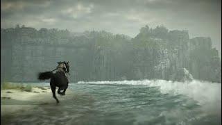 Shadow Of The Colossus - Favorite Place