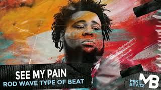 (FREE) Rod Wave Type Beat | "See My Pain" | Sad Instrumental 2024