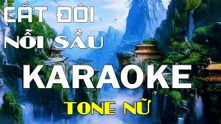 Cắt Đôi Nỗi Sầu Karaoke Tone Nữ Karaoke Lâm Organ -  Cover TĂNG DUY TÂN