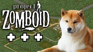 Project Zomboid to the MAX | All settings at max or minimum value