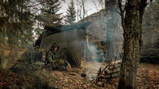 2 NIGHTS alone in AUTUMN forest - Catch and cooking fish - Harvest CHAGA & Berries - Solo Bushcraft