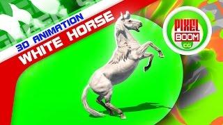 Green Screen White Horse Runs Prairie Animals - Footage PixelBoom CG