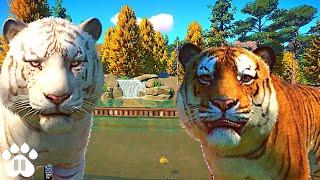 Building an Underwater Viewing Area for Siberian Tigers | Eco-Zoo | Planet Zoo Franchise Mode Ep26