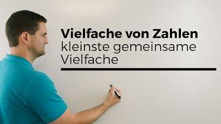 Vielfache von Zahlen und kgV, kleinste gemeinsame Vielfache | Mathe by Daniel Jung