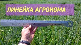 Линейка Агронома от DIRECT.FARM