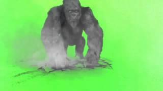 Green Screen 40+ essential effects