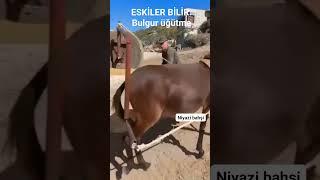 Eskiler bilir,Bulgur değirmeni.Niyazi BAHŞİ