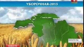 В Беларуси намолотили более 3-х миллионов тонн зерна