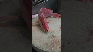 how to make cutting red snapper fish clean skills#shorts