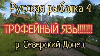 Русская рыбалка 4.р. Северский Донец. ТРОФЕЙ ЯЗЬ! Где ловить!?