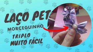 Laço pet Morceguinho Triplo