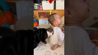 bayi lucu dan si kucing hitam yang manja