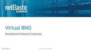 netElastic vBNG Overview