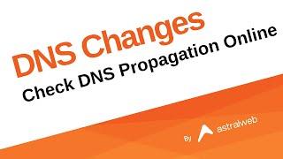 Check DNS Propagation Online