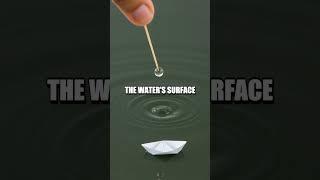 Soap-Powered Boat Experiment: Surface Tension Adventure