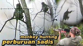 TERSADIS‼️BERBURU KERA LIAR YANG MALING MANGGA PETANI‼️MONKEY HUNTING‼️ BERBURU MONYET TERGANAS