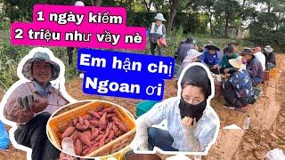 Trải Nghiệm 1 Ngày Nhớ Đời . Nông Nghiêp Ở Hàn Quôc