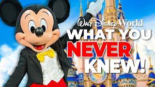 Top 10 Things You Didn't Know You Could Do at Walt Disney World