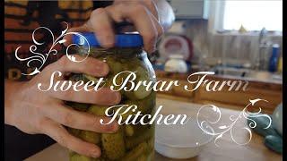 Homemade Sun Pickle Review! Sweet Briar Farm Kitchen