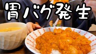 ダイエット終了後食欲が止まらないOLの一日の食事。【胃バグ】