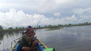 Mancing muara pesta strike !!!! #fishing #trendingshorts #trending