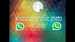 How to set whatsapp dp without cropping on android & iphone