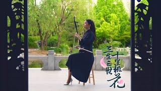 Eternal Love OST - 凉凉(liangliang) l ERHU cover by LUYIFEI