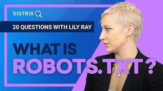 What is robots.txt and what is it used for?