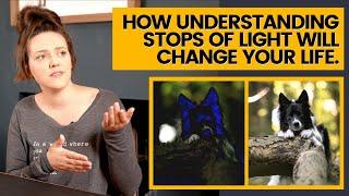 PHOTOGRAPHY ESSENTIALS: What is a stop of light & why they'll change your photography