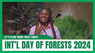 AYGF PRESENTS: THE INTERNATIONAL DAY OF FORESTS