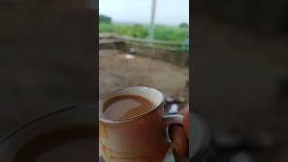 Minivlog#dailylife#earlymorning Chai#Mornigview