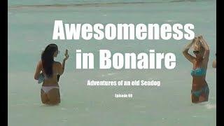 Awesomeness in Bonaire.  Adventures of an old Seadog, ep69