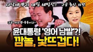 이해민 "윤 대통령 '영어'쓰면 있어 보인다고 생각?!"