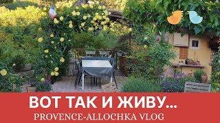 Вот ТАК и живу… /Всё смешалось...Куры, кухня, огород, ночной сад