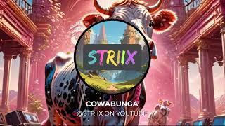 Striix - Cowabunga (VISUALISER)