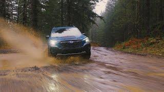 The all-new 2022 Subaru Forester Wilderness.