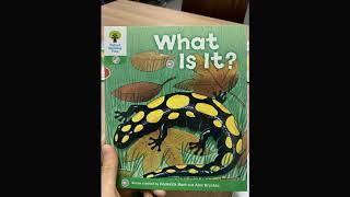 Duranno Library What is it? (phonics reader)