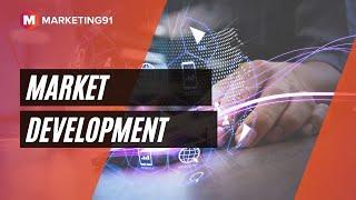 Market Development - Strategies, Advantages and Examples of Netflix, Walmart and Amazon (253)