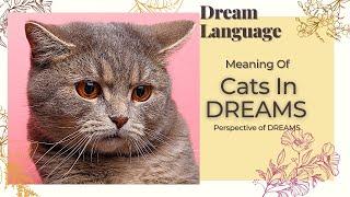 Cats In Dreams | Biblical Perspectives