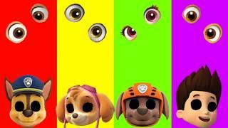 Wrong eyes challenge DAME TU COSITA Paw Patrol Funny Puzzle Wrong Heads