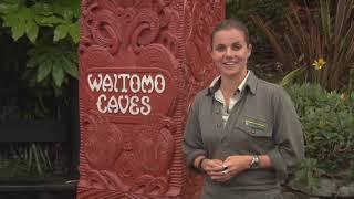 Meet the Locals: Waitomo caves