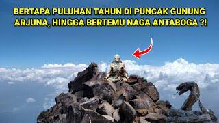 BERTAPA PULUHAN TAHUN DI PUNCAK GUNUNG ARJUNA, HINGGA BERTEMU NAGA ANTABOGA ?!