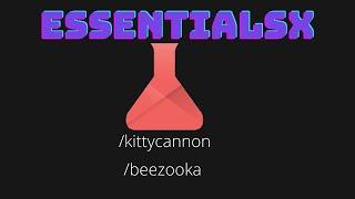 EssentialsX commands that everyone should know!