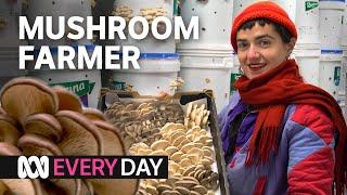 This farm grows 80kg of mushrooms a week!  | Everyday | ABC Australia