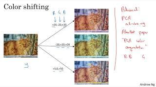 C4W2L10 Data Augmentation