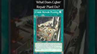 What Does Cyber Repair Plant Do?